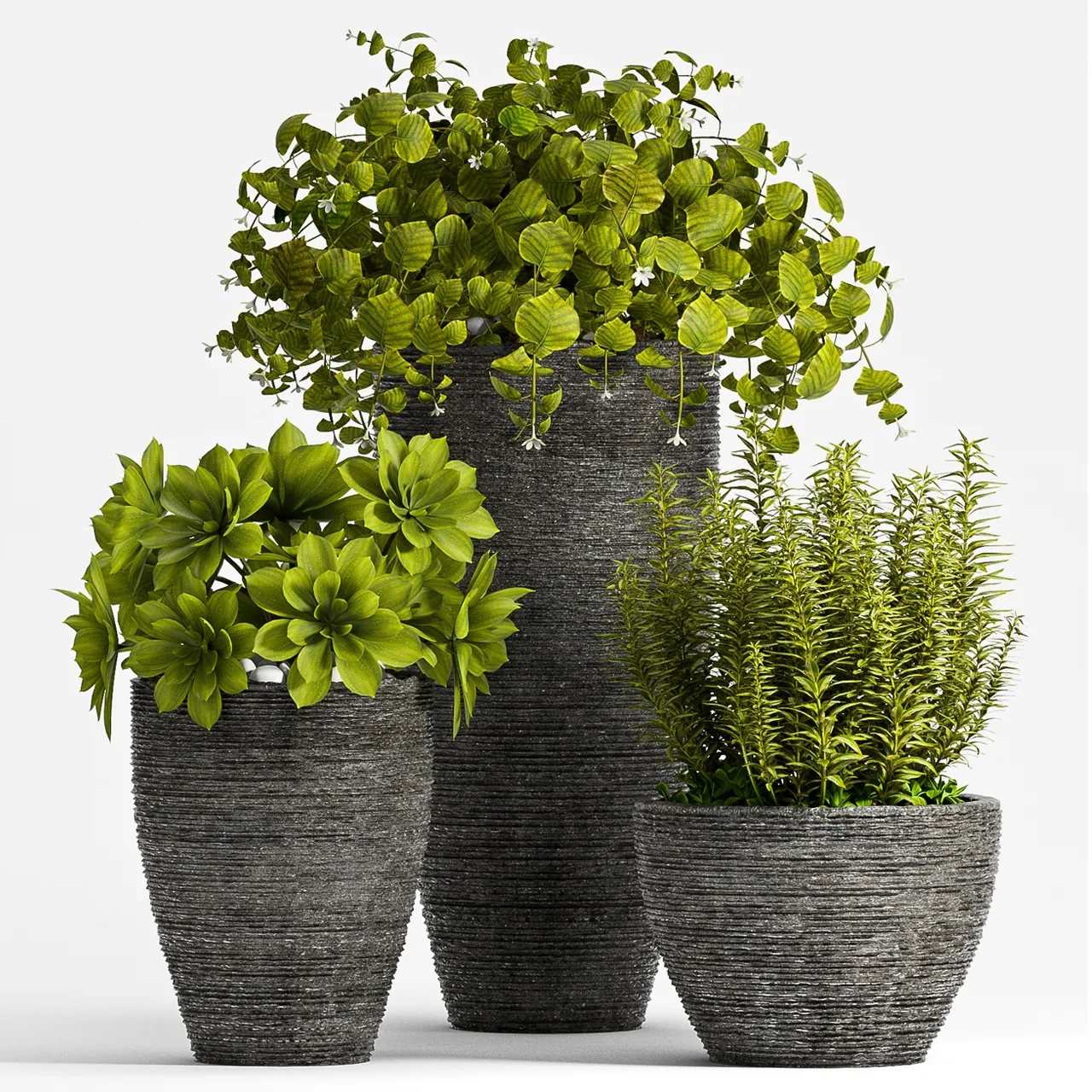 decoration – Plant Set – 75 3D Model decoration – Plant Set – 75 3D Model