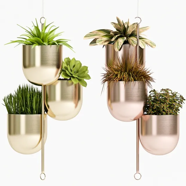 decoration – PLANT SET -79 3D Model decoration – PLANT SET -79 3D Model