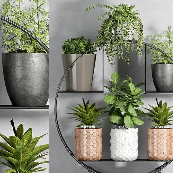 decoration – Plant set 88 3D Model decoration – Plant set 88 3D Model