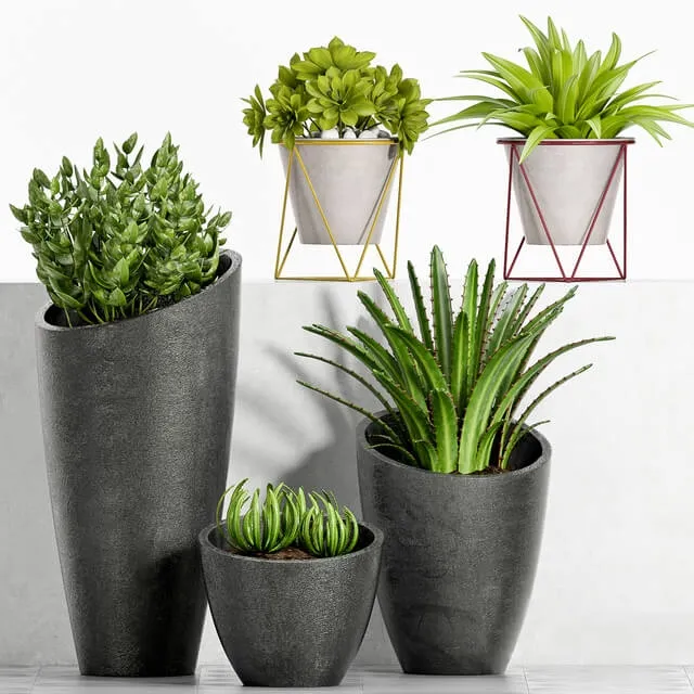decoration – Plant Set -89 3D Model decoration – Plant Set -89 3D Model