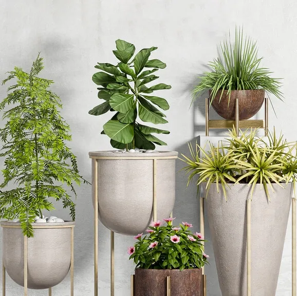 decoration – Plant Set – 90 3D Model decoration – Plant Set – 90 3D Model