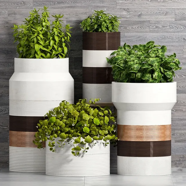 decoration – Plant Set -93 3D Model decoration – Plant Set -93 3D Model