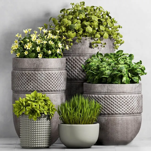 decoration – Plant Set -96 3D Model decoration – Plant Set -96 3D Model