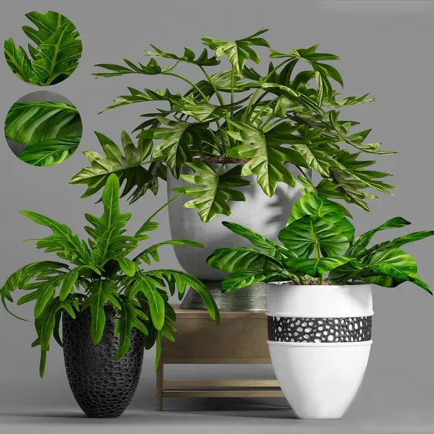 decoration – Plant Set -99 3D Model decoration – Plant Set -99 3D Model