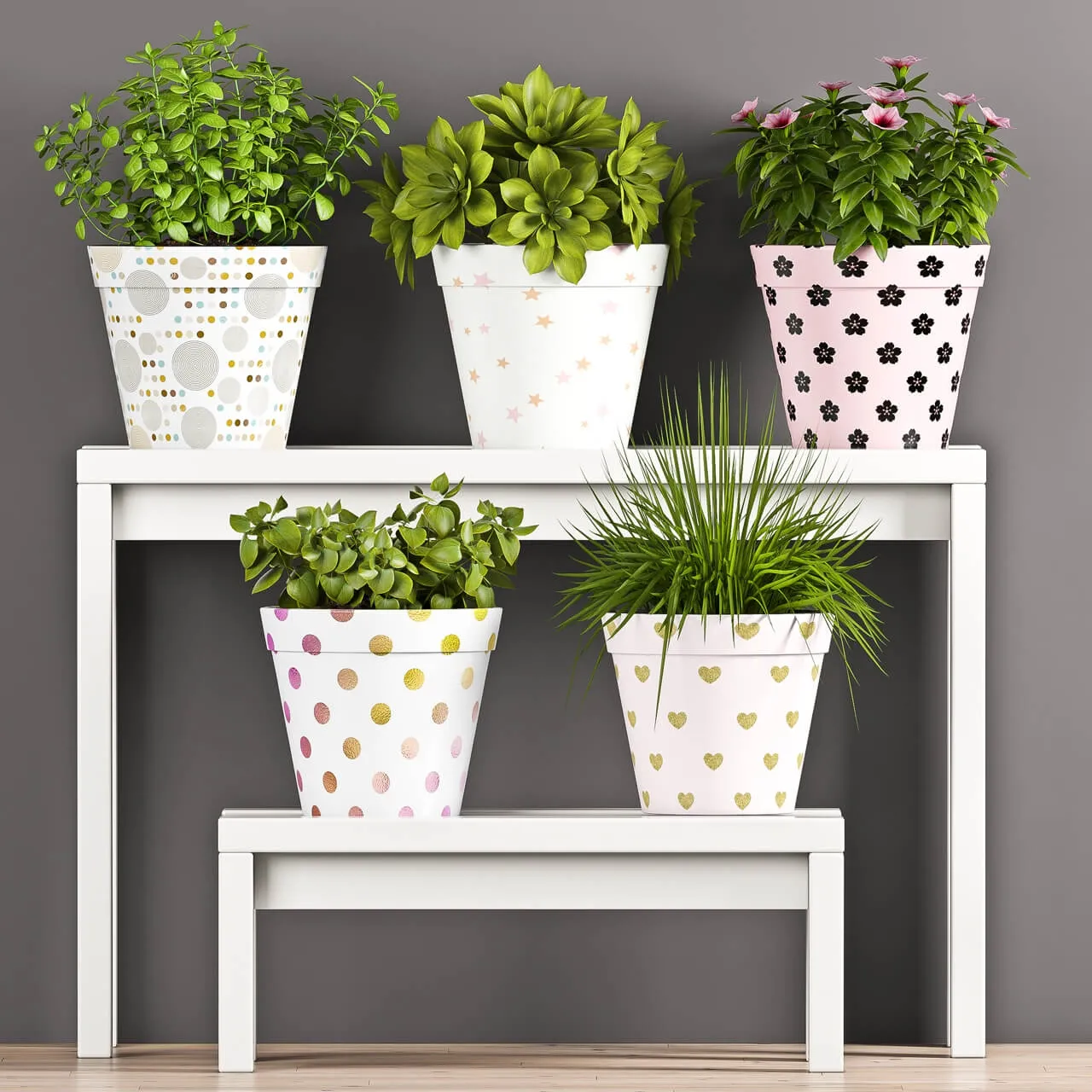 decoration – Plant Set _ 69 3D Model decoration – Plant Set _ 69 3D Model