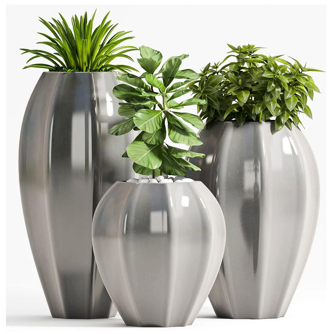 decoration – Plant Set _70 3D Model decoration – Plant Set _70 3D Model