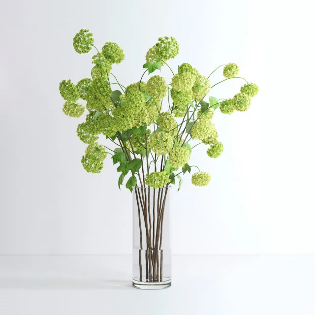 decoration – Plant viburnum 01 3D Model