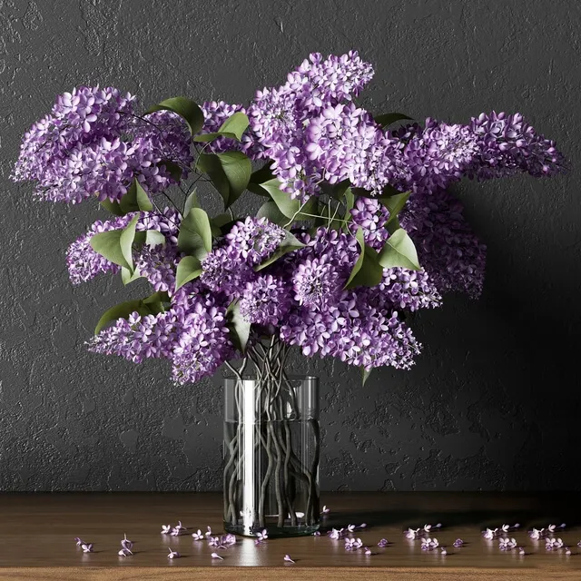 decoration – Plants 004 3D Model