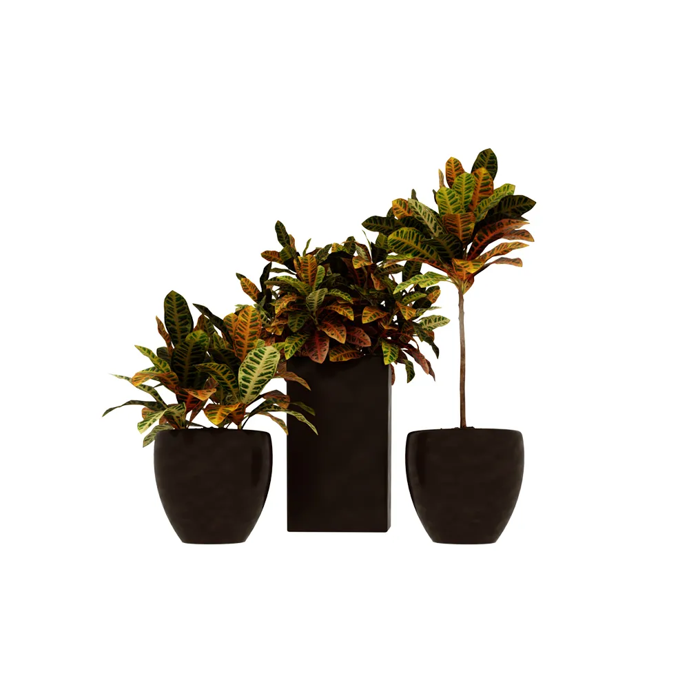 decoration – Plants 006 3D Model