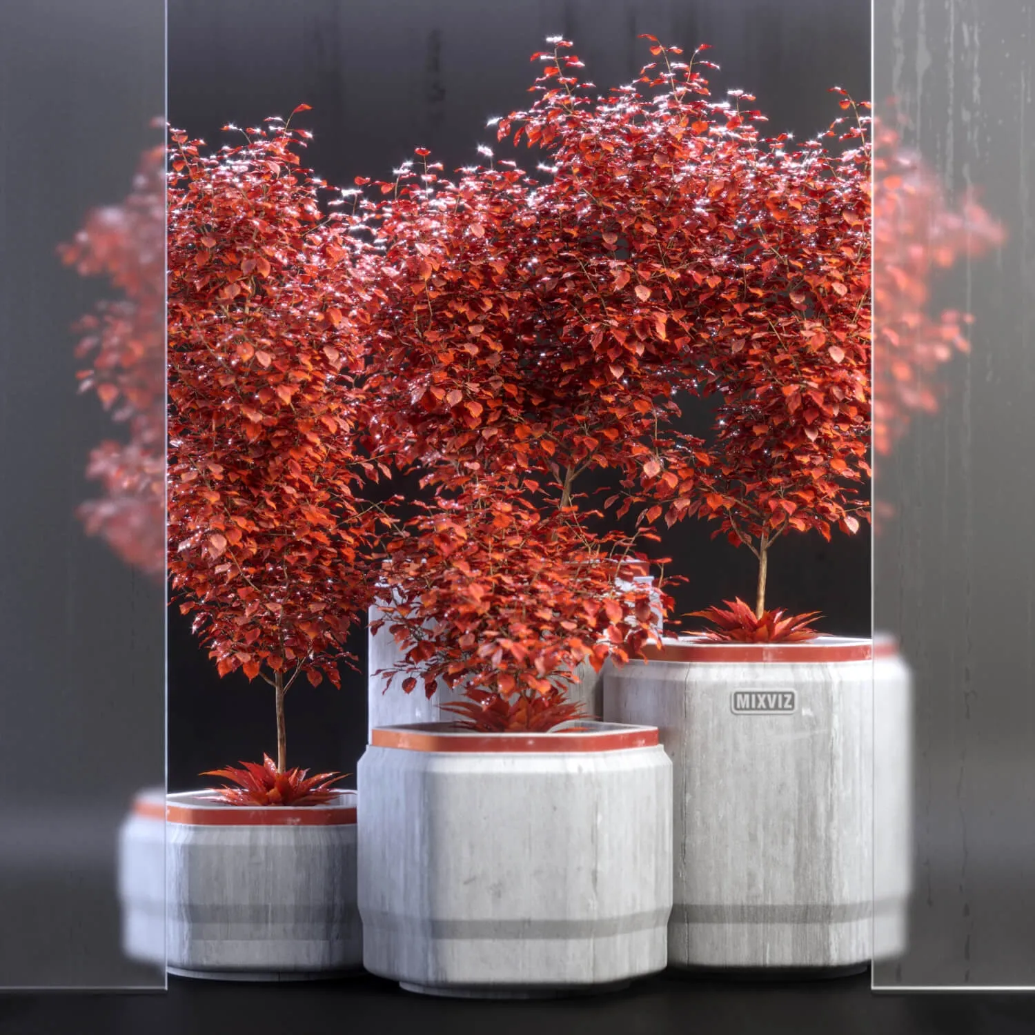 decoration – Plants 012 3D Model