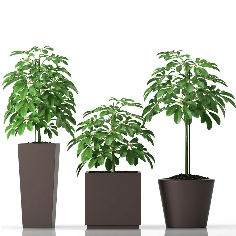 decoration – Plants 0414 3D Model decoration – Plants 0414 3D Model