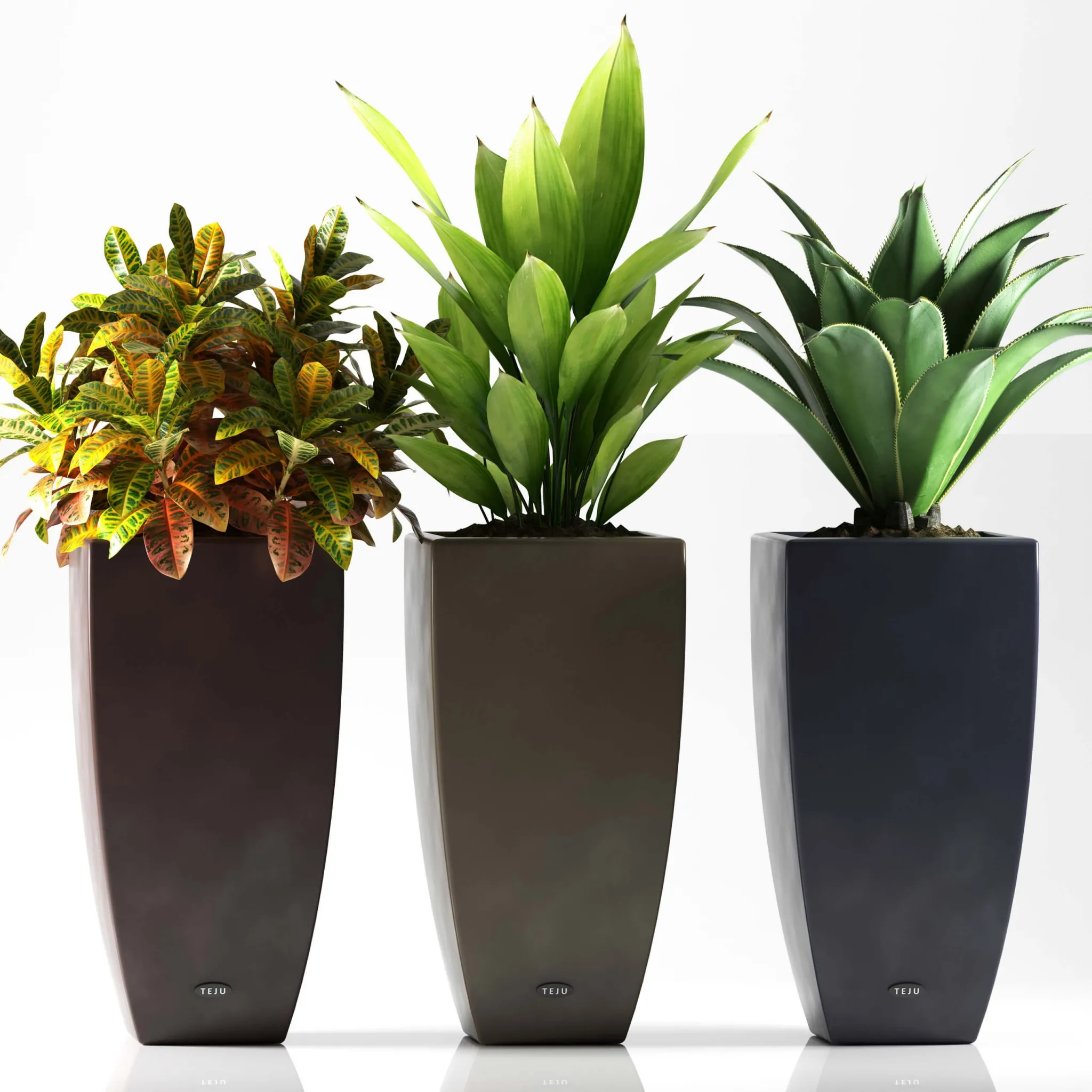 decoration – Plants 088 3D Model decoration – Plants 088 3D Model