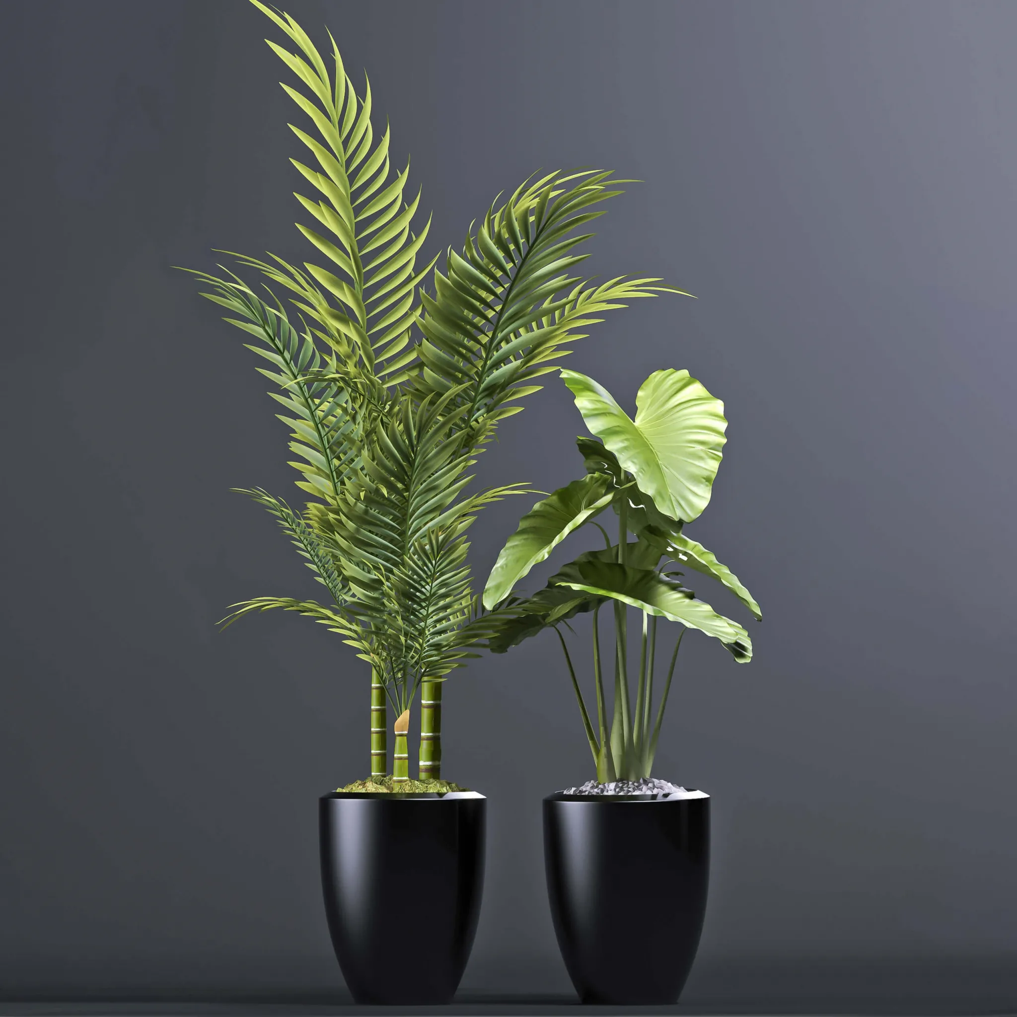 decoration – Plants 102 3D Model decoration – Plants 102 3D Model