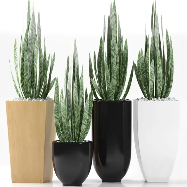 decoration – Plants 103 3D Model decoration – Plants 103 3D Model