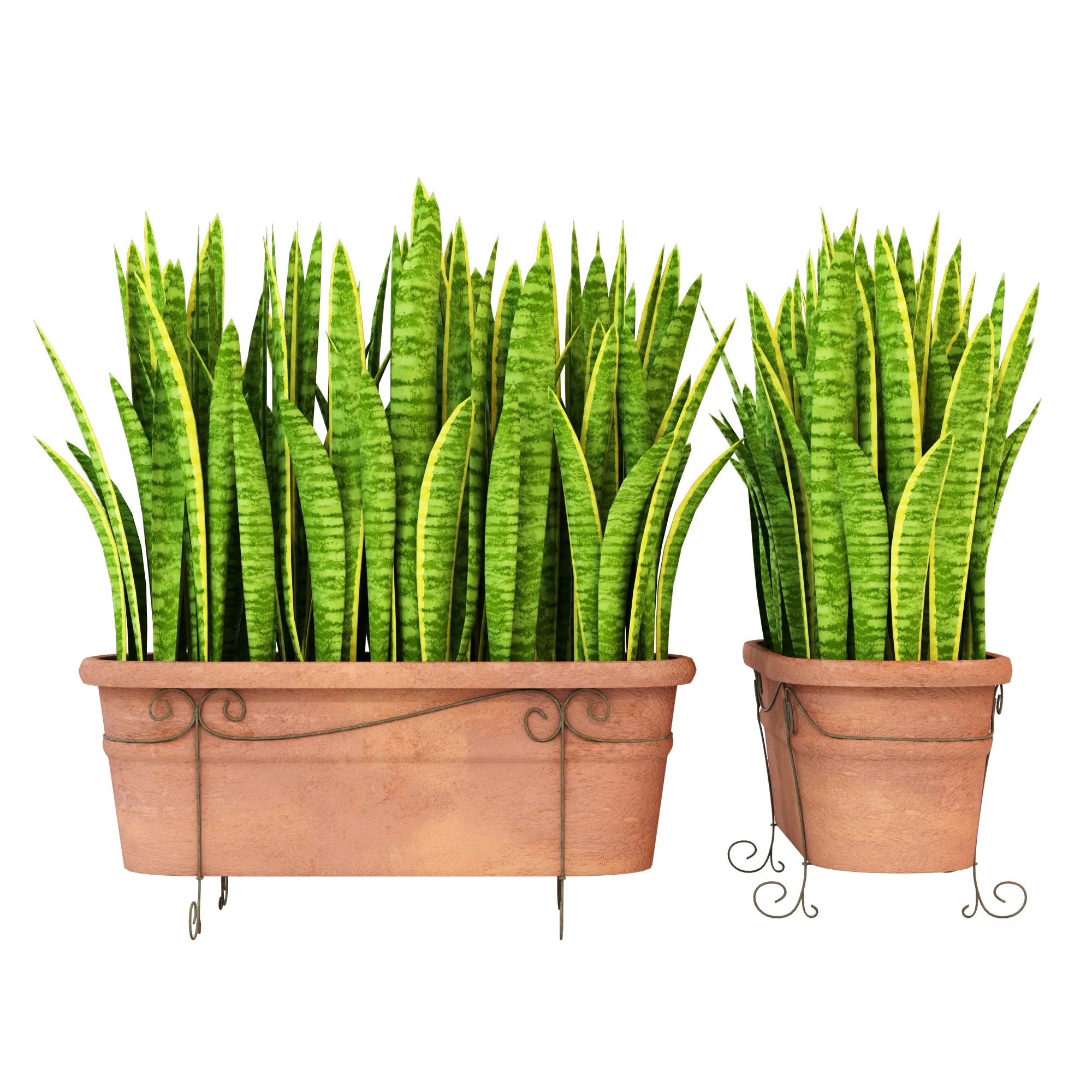 decoration – Plants 103 3D Model