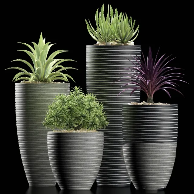 decoration – Plants 106 3D Model