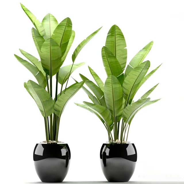 decoration – Plants 108 3D Model decoration – Plants 108 3D Model