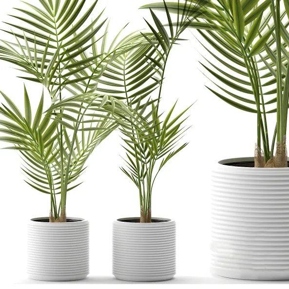 decoration – Plants 109 3D Model decoration – Plants 109 3D Model