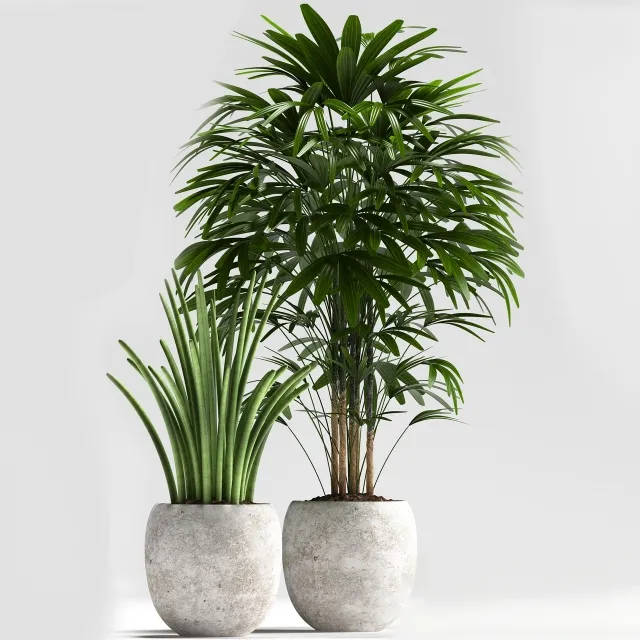 decoration – Plants 114 3D Model decoration – Plants 114 3D Model