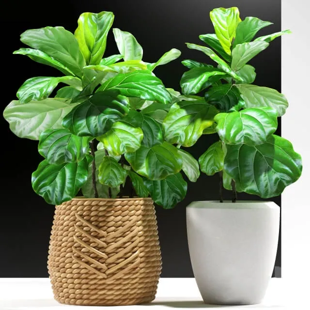 decoration – Plants 115 3D Model decoration – Plants 115 3D Model