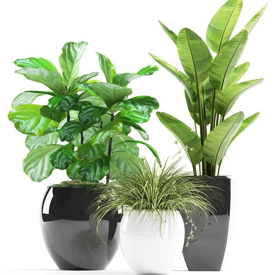 decoration – Plants 119 3D Model decoration – Plants 119 3D Model