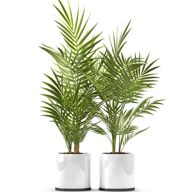 decoration – Plants 123 3D Model decoration – Plants 123 3D Model