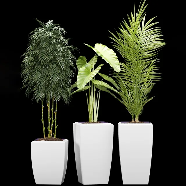 decoration – Plants 127 3D Model decoration – Plants 127 3D Model