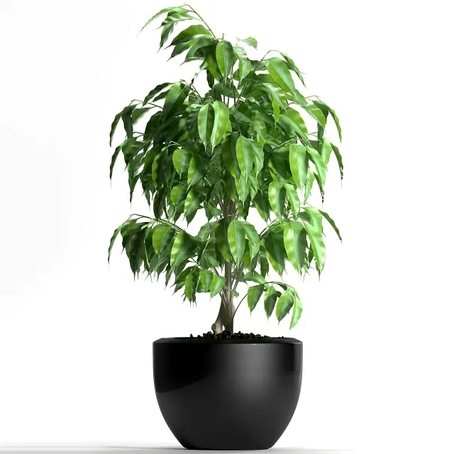 decoration – Plants 128 3D Model decoration – Plants 128 3D Model