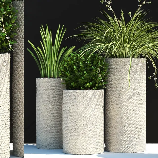 decoration – Plants 129 3D Model decoration – Plants 129 3D Model