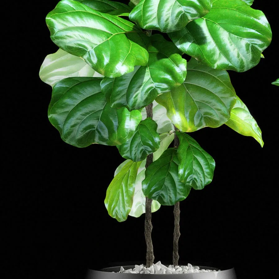 decoration – Plants 133 3D Model decoration – Plants 133 3D Model