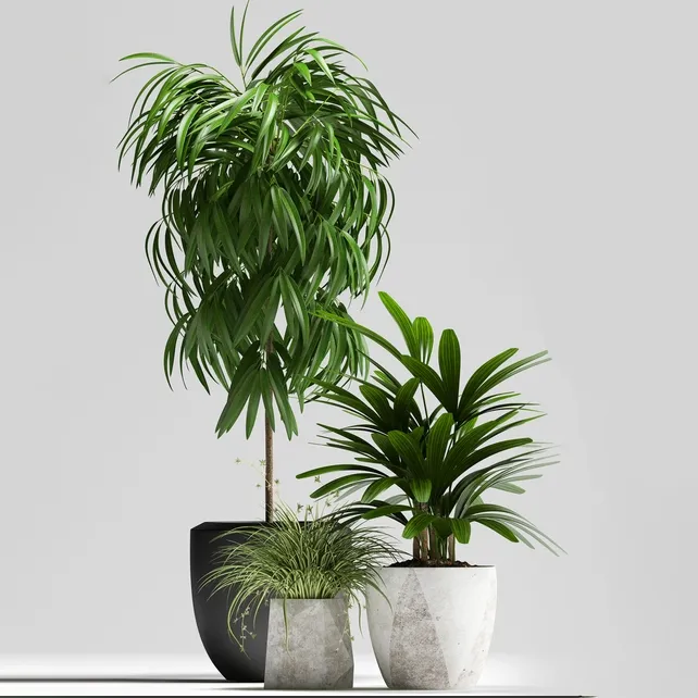 decoration – Plants 134 3D Model decoration – Plants 134 3D Model