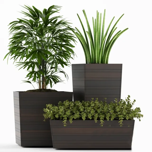 decoration – Plants 136 3D Model decoration – Plants 136 3D Model