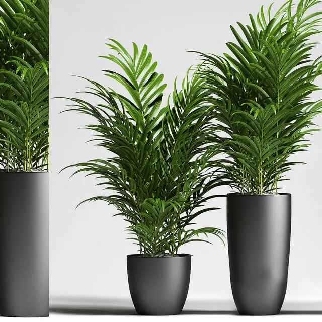 decoration – Plants 137 3D Model decoration – Plants 137 3D Model