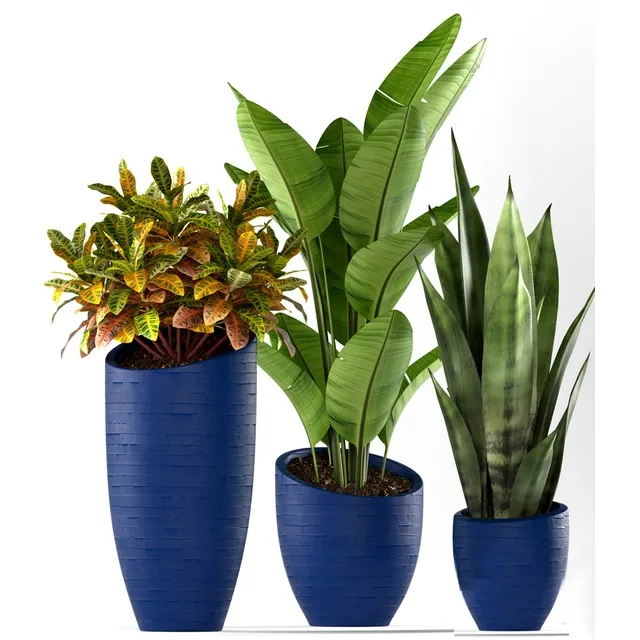 decoration – Plants 138 3D Model decoration – Plants 138 3D Model