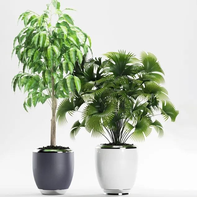 decoration – Plants 139 3D Model decoration – Plants 139 3D Model