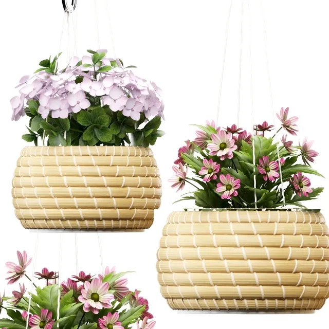 decoration – Plants 141 3D Model decoration – Plants 141 3D Model