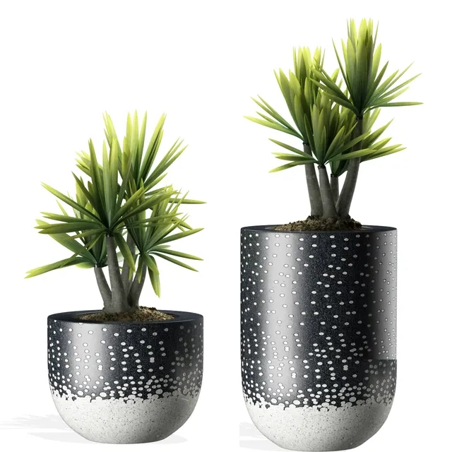 decoration – Plants 142 3D Model decoration – Plants 142 3D Model