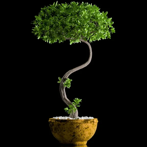 decoration – Plants 146 3D Model decoration – Plants 146 3D Model