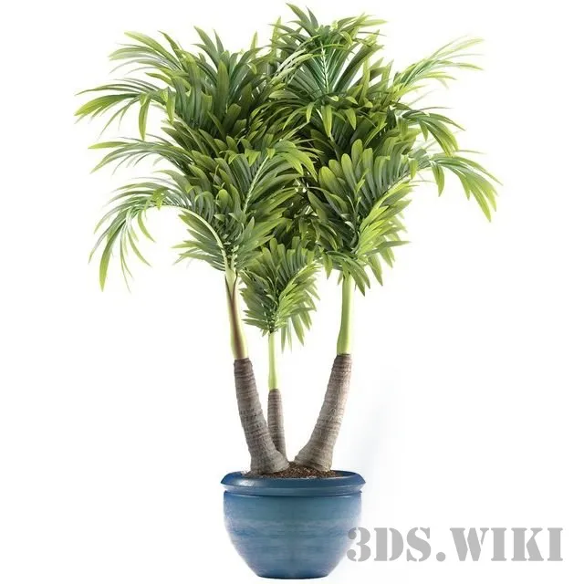 decoration – PLANTS 148 3D Model decoration – PLANTS 148 3D Model