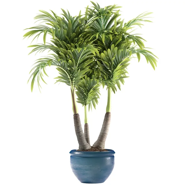 decoration – Plants 148 3D Model decoration – Plants 148 3D Model