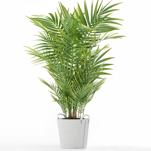 decoration – Plants 149 3D Model decoration – Plants 149 3D Model