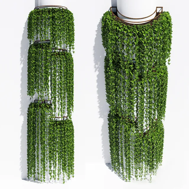 decoration – Plants 15 3D Model