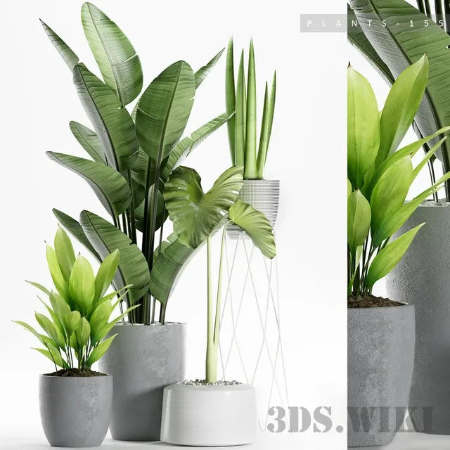 decoration – PLANTS 150 3D Model decoration – PLANTS 150 3D Model