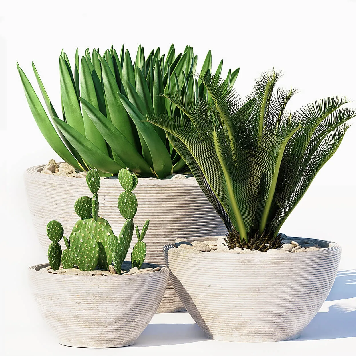 decoration – Plants 150 3D Model