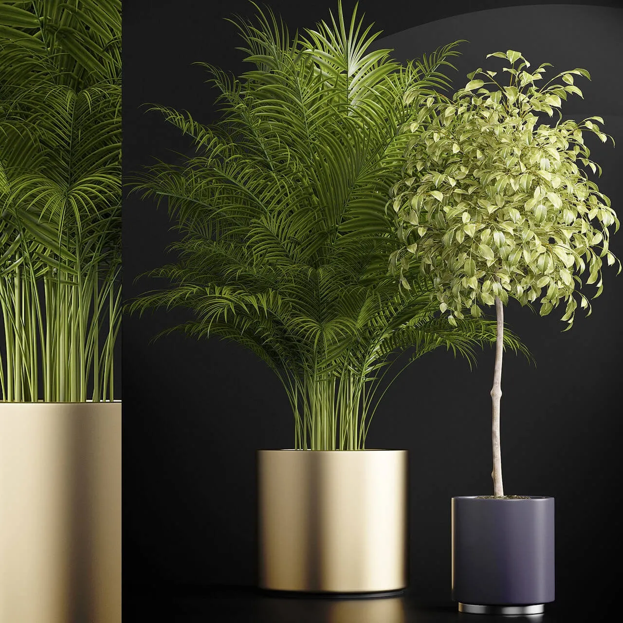 decoration – Plants 152 3D Model decoration – Plants 152 3D Model