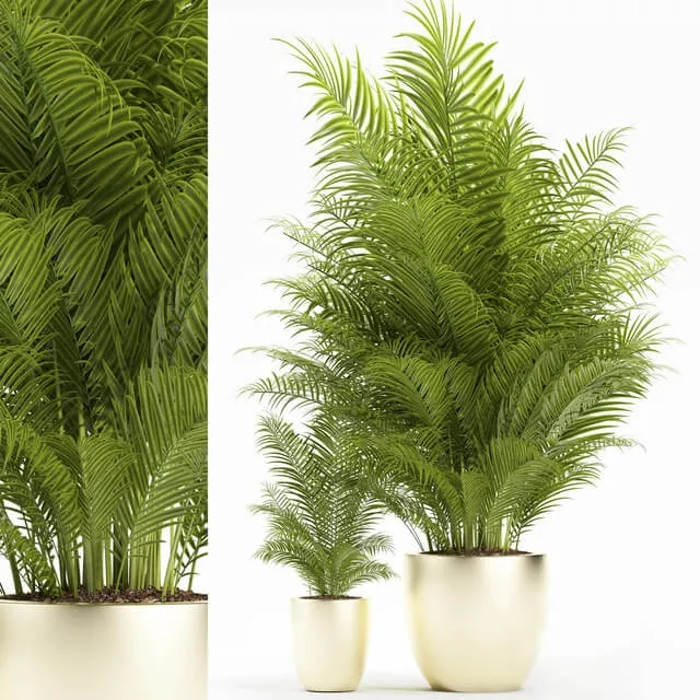 decoration – Plants 156 3D Model decoration – Plants 156 3D Model