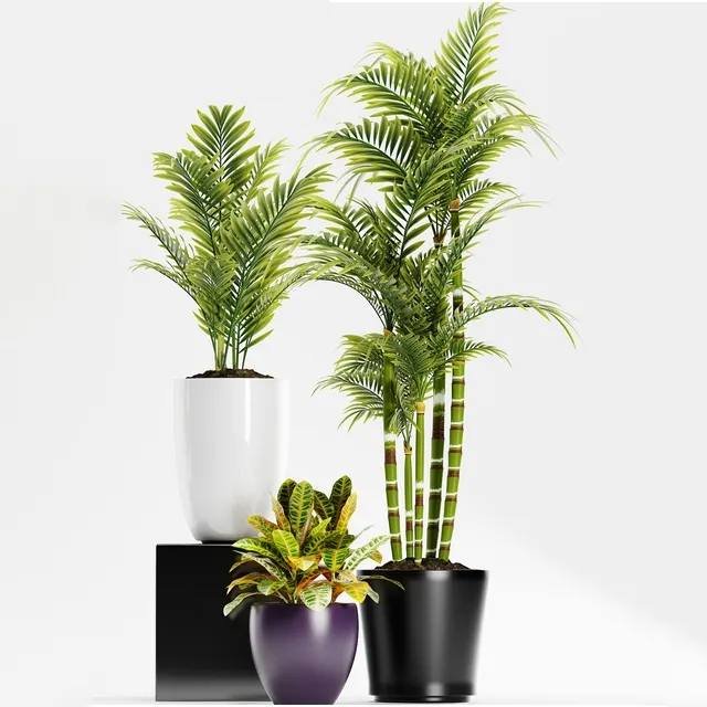 decoration – Plants 158 3D Model