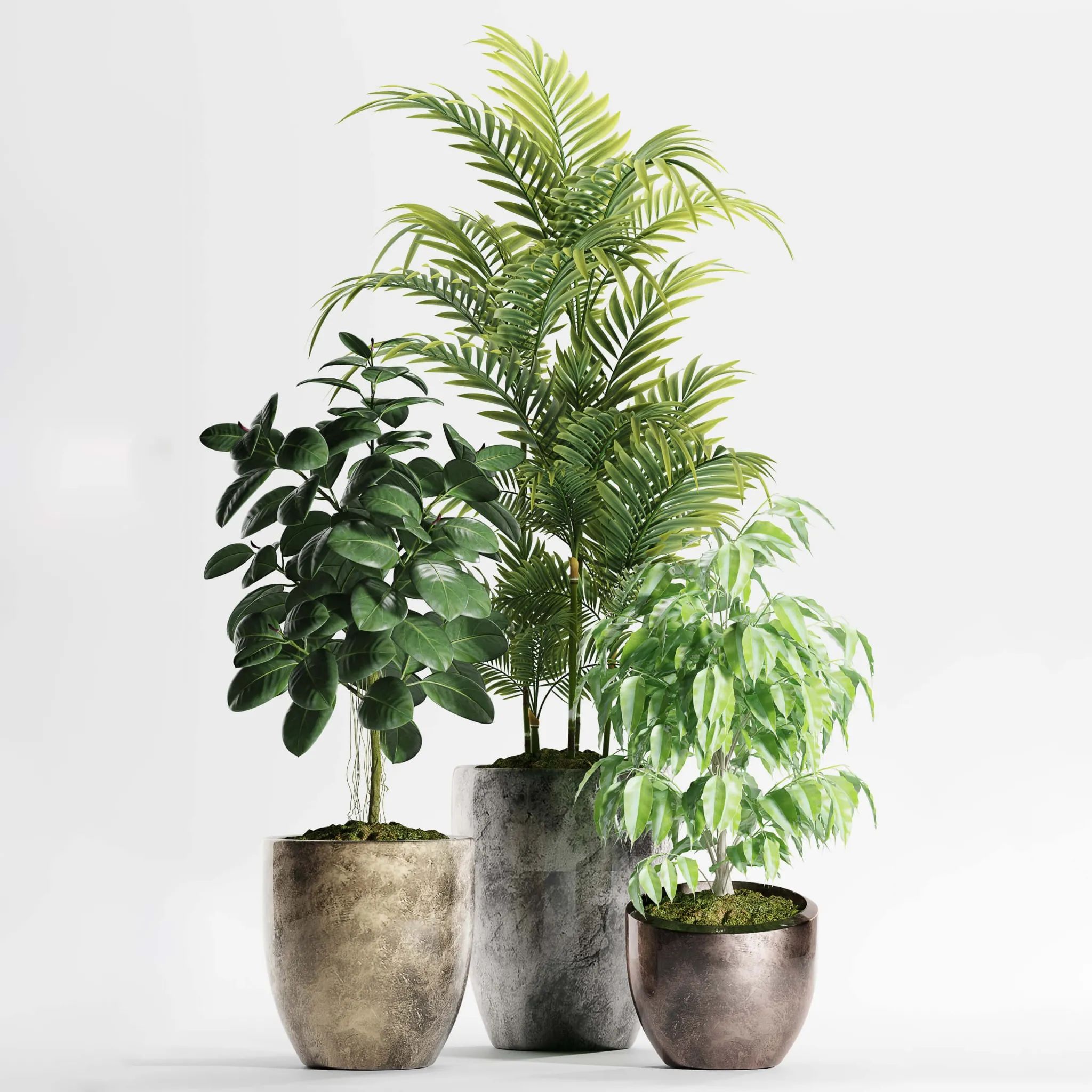 decoration – Plants 159 3D Model decoration – Plants 159 3D Model