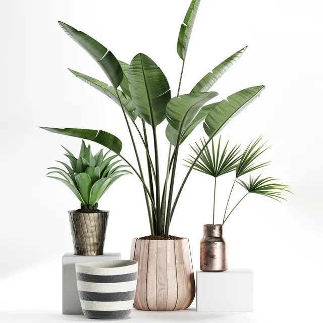 decoration – Plants 160 3D Model decoration – Plants 160 3D Model