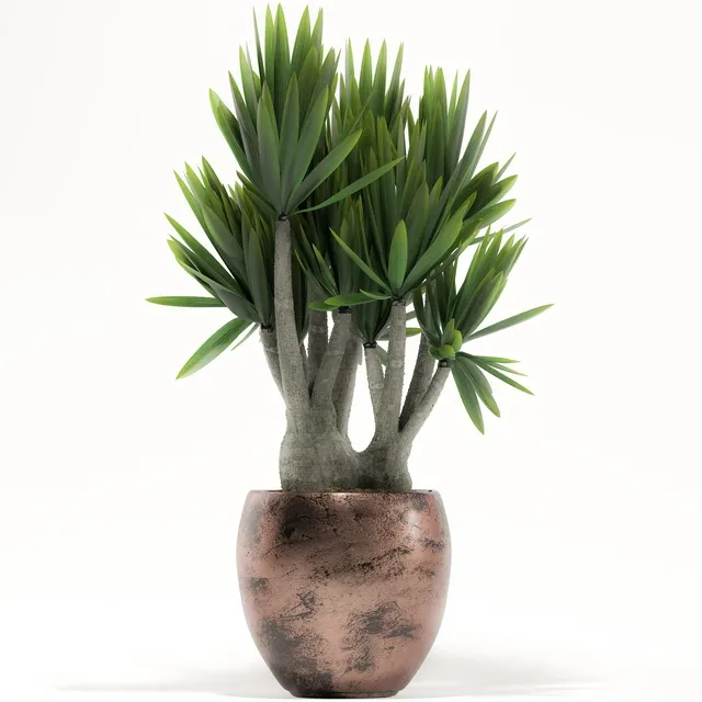 decoration – Plants 161 3D Model decoration – Plants 161 3D Model